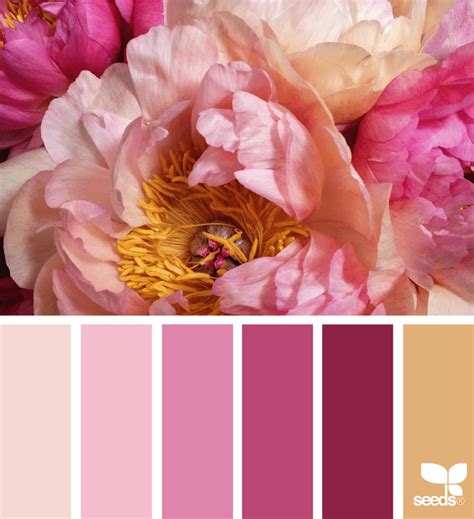 Floral Color Palette Inspiration Sparkles And Shoes