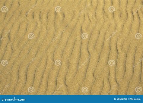 Sandy Beach Background Stock Photo Image Of Nature Wind 28672260