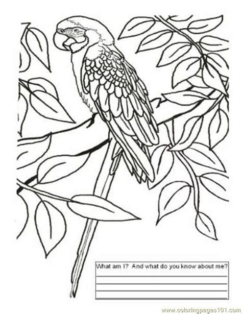 Free brazil coloring pages, we have 34 brazil printable coloring pages for kids to download. Map Of Brazil For Kids - Coloring Home