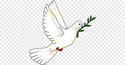 Columbidae Peace Symbols Doves As Symbols Peace Dove White Hand