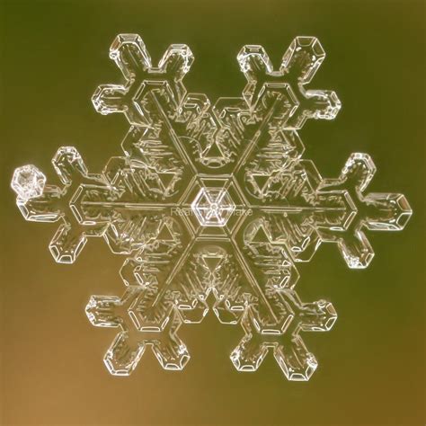 Scientific Snowflake Photographs | Snowflake photography, Snowflakes real, Snowflakes