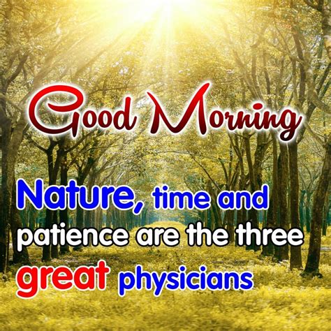 50 Beautiful Good Morning Images With Nature Quotes Good Morning Images