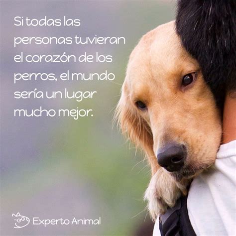 Si Tuviera El Corazón De Arya Día 189 Perros Frases Amor Animales