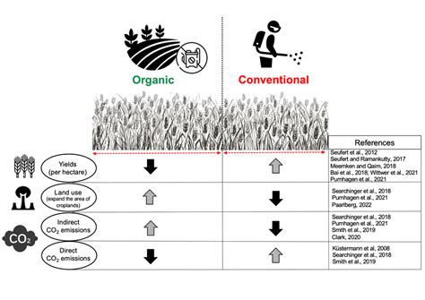The Comparisons Between Organic And Conventional Agriculture In Terms