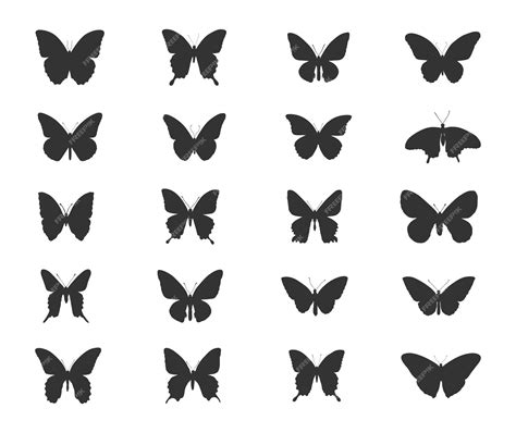 Silhouettes De Papillons Ensemble De Silhouettes De Papillons