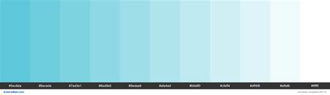 Cyanish Cerulean Colors Palette Colorswall