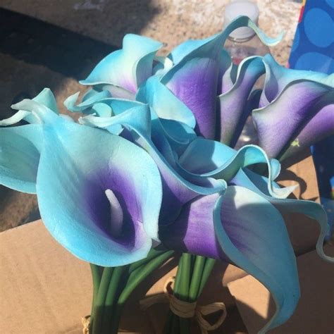 Blue Purple Picasso Calla Lilies Stems Real Touch Flowers Etsy