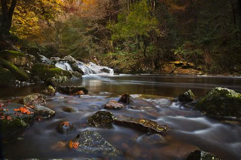 River Rocks Fall Forest Autumn Wallpapers Hd Desktop And Mobile