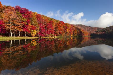 A Guide To Pennsylvania's Fall Foliage | Willow Tree and Landscape