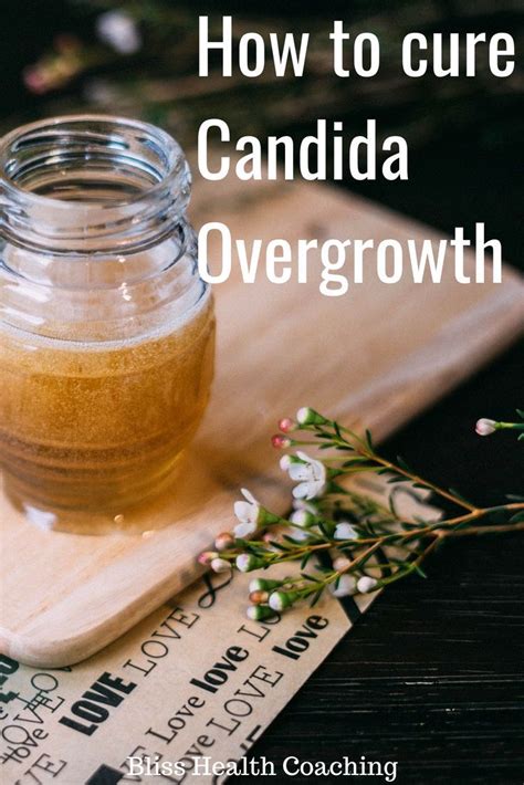 How To Fix Candida Overgrowth Candida Overgrowth Candida Cure Candida