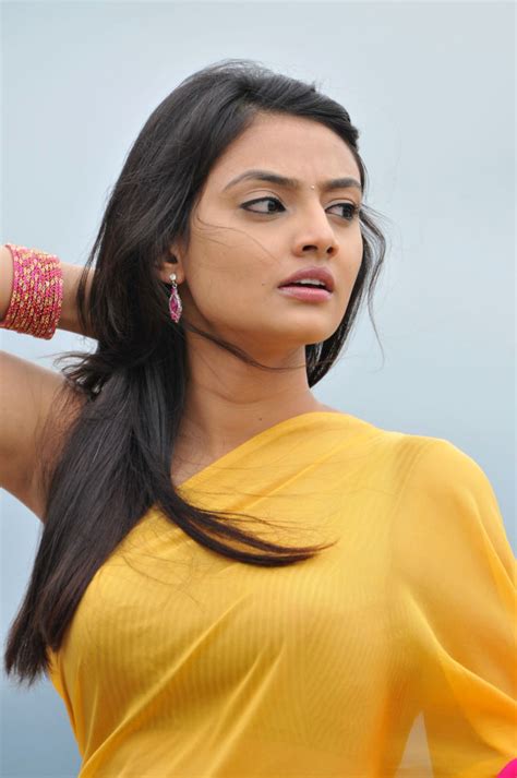 Hot Actress Nikitha Narayan Tempting New Hot Yellow Sarees Photos Cine Pictures