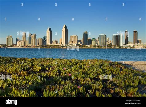 San Diego Skyline Viewed From Coronado Island San Diego California