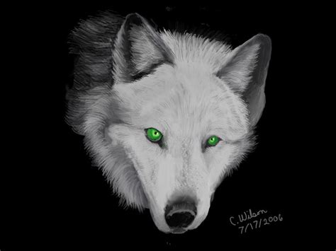 Silver Wolf With Green Eyes The Silver Wolf By Windseeker The