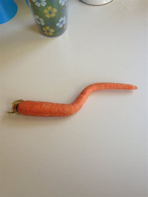 I Got A Crooked Carrot Rmildlyinteresting