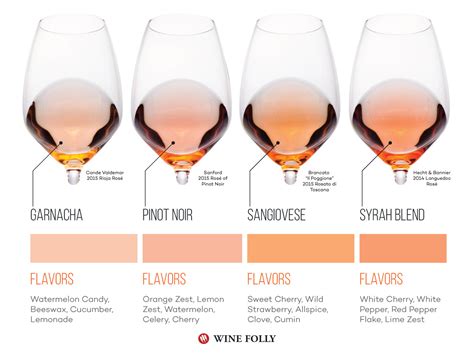 The 4 Dry Rosé Wine Varieties To Know And Love Wine Folly