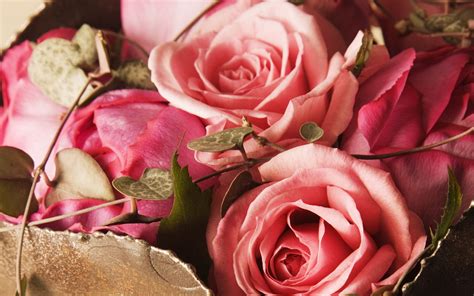 Bouquet Of Pink Roses Wallpapers And Images Wallpapers Pictures Photos