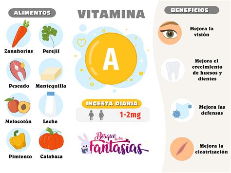 LAS VITAMINAS Alimentos beneficios e infografías para primaria