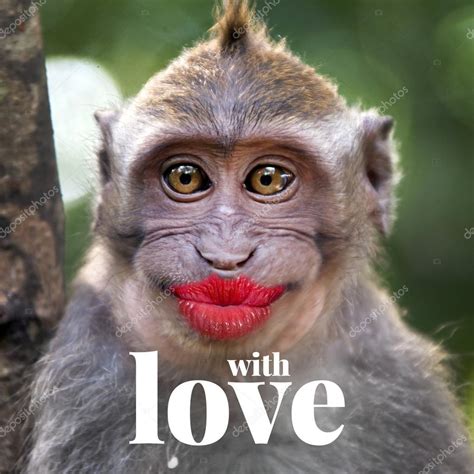 Funny Monkey With A Red Lips — Stock Photo © Watman 70260001