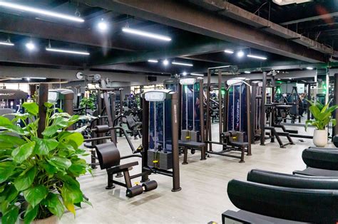 Slife Gym Đơn Vị Tiên Phong đưa Thiên Nhiên Vào Không Gian Phòng Tập