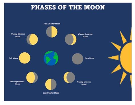 Printable Moon Phase Chart Home School Chart For The Moon Etsy