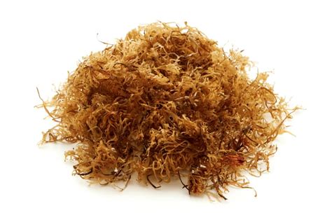 Check out our sea moss capsules selection for the very best in unique or custom, handmade pieces from our supplements shops. The luck of the Irish (moss)! - Saving Dinner