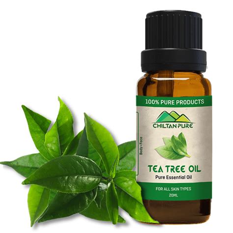 Here are all the ways it helps—plus, info on how to use it. Tea Tree OiL on SALE Top 10 Benefits For Face and Hair ...