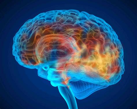 Study: Structures discovered in brain cancer patients can help fight 
