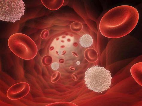 thrombocytopenic purpura in adults diagnosis causes and treatment
