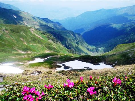 Rodnei Mountains Transylvania National Parks Beautiful Places Romania