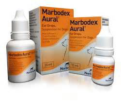 Ear Drops in Nagpur, Maharashtra, India - IndiaMART