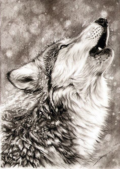 Once you do that, we are sure that you will need no further arguments to win you over and agree that these do look great. Animals Realistic Drawing at GetDrawings | Free download