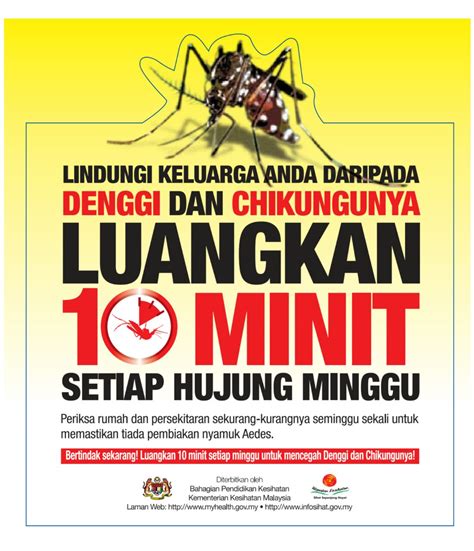 Untuk mengatasinya, ada beberapa cara menghilangkan mual saat hamil yang bisa dicoba. Pengalaman: Pertama Kali Diserang Demam Denggi