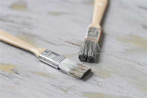 Gray Paint Brushes Stock Image Image Of Closeup Brush 234947831