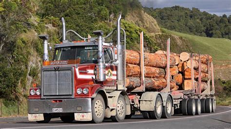 nz logging trucks youtube