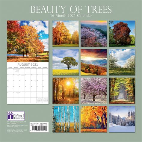 2021 Beauty Of Trees Calendar Save The Children Shop
