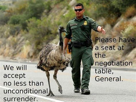 Emu And Human General Discuss Human Capitulation Great Emu War 1932