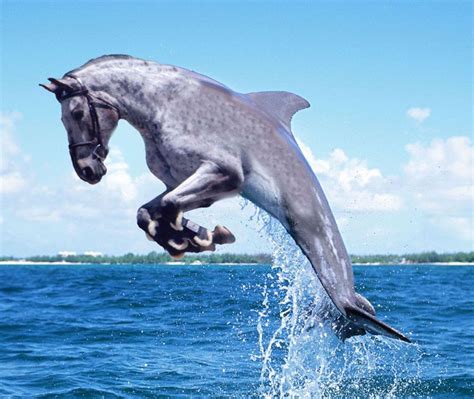 Animal Mashups Photoshopped Animals Bizarre Animals