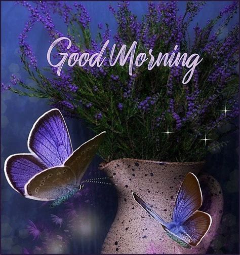 Purple Butterflies Good Morning Butterflies Purple Beautiful Good