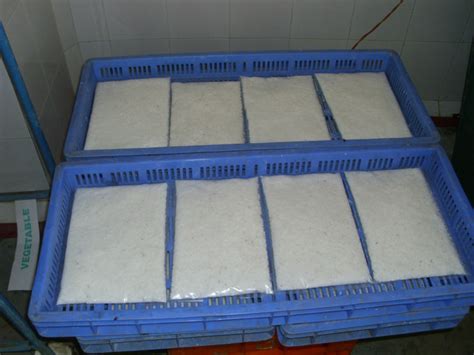 Frozen Grated Coconut Powder For Cooking Packaging Type Plastic