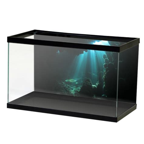 Aquarium Png Transparent Image Download Size 500x500px