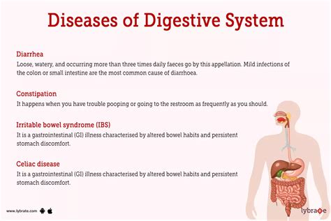 Digestive System Human Anatomy Picture Functions Diseases And