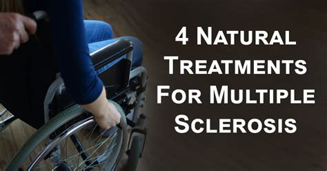 4 Natural Treatments For Multiple Sclerosis David Avocado Wolfe