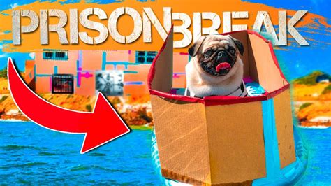 Dog Box Fort Prison Escape Exteme Boat Chase Youtube