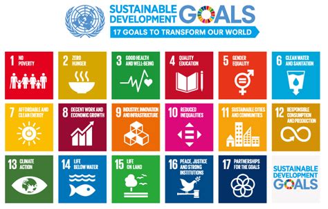 Special Feature 2020 - Contribution to the United Nations Sustainable ...