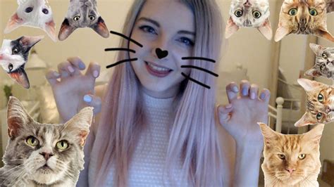 Crazy Cat Lady Simulator Youtube