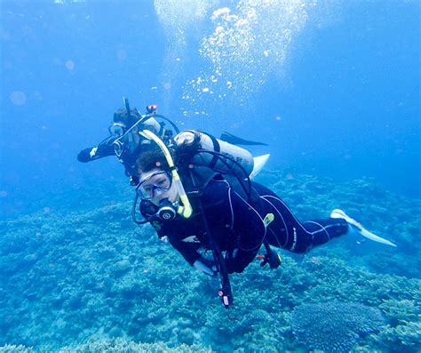 Okinawa Scuba Diving Season Memugaa