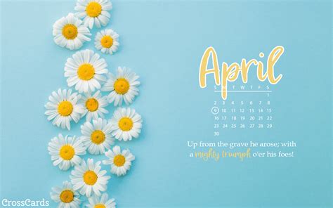 April 2023 Daisies Desktop Calendar Free April Wallpaper