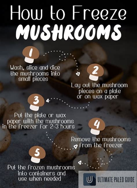 We did not find results for: Can You Freeze Mushrooms? | Ultimate Paleo Guide