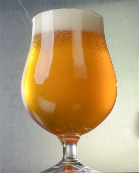 Melissa And Patty S Saison Beer Recipe American Homebrewers Association