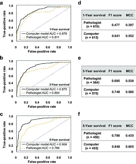 Predictive Models Of 1 3 And 5 Year Renal Survival Three Separate